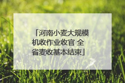河南小麦大规模机收作业收官 全省麦收基本结束