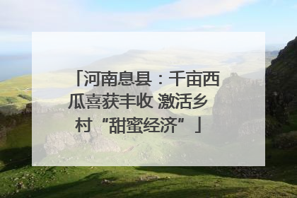 河南息县：千亩西瓜喜获丰收 激活乡村“甜蜜经济”