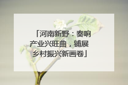 河南新野：奏响产业兴旺曲，铺展乡村振兴新画卷