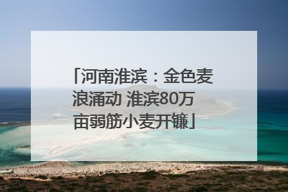河南淮滨：金色麦浪涌动 淮滨80万亩弱筋小麦开镰