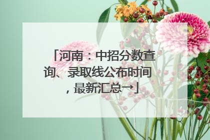 河南：中招分数查询、录取线公布时间，最新汇总→