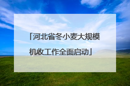 河北省冬小麦大规模机收工作全面启动