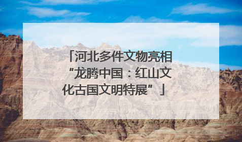 河北多件文物亮相“龙腾中国：红山文化古国文明特展”