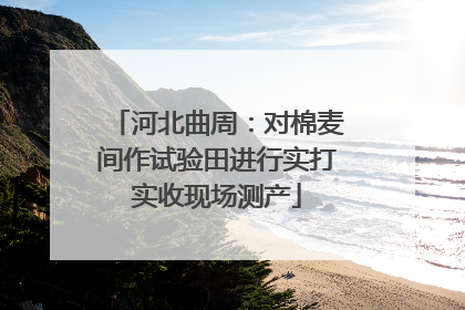 河北曲周：对棉麦间作试验田进行实打实收现场测产