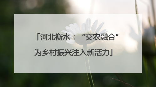 河北衡水：“交农融合”为乡村振兴注入新活力