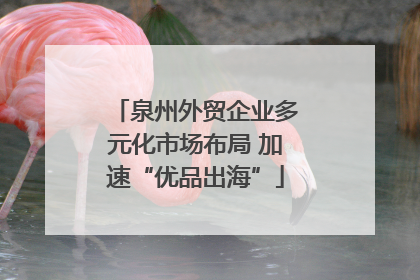 泉州外贸企业多元化市场布局 加速“优品出海”