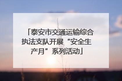 泰安市交通运输综合执法支队开展“安全生产月”系列活动