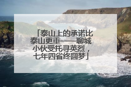 泰山上的承诺比泰山更重——聊城小伙受托寻英烈，七年四省终圆梦