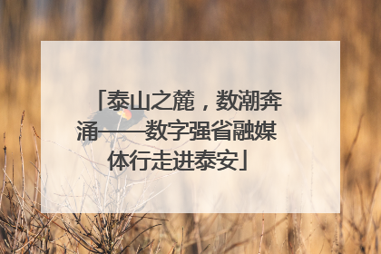 泰山之麓，数潮奔涌——数字强省融媒体行走进泰安