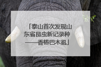 泰山首次发现山东省昆虫新记录种——香椿巴木虱