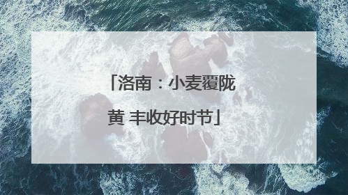 洛南：小麦覆陇黄 丰收好时节
