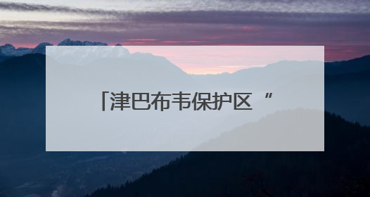 津巴布韦保护区“象满为患”，当局称将扑杀供居民食用