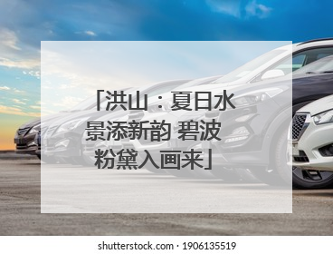 洪山：夏日水景添新韵 碧波粉黛入画来