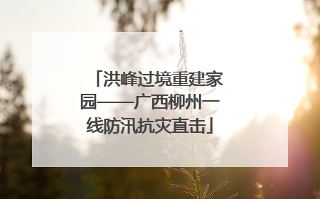 洪峰过境重建家园——广西柳州一线防汛抗灾直击