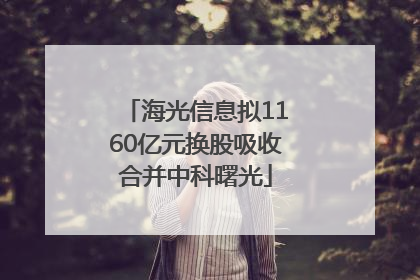 海光信息拟1160亿元换股吸收合并中科曙光
