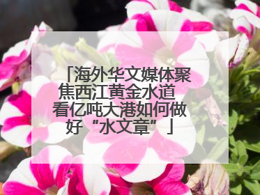 海外华文媒体聚焦西江黄金水道 看亿吨大港如何做好“水文章”