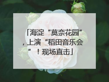 海淀“莫奈花园”，上演“稻田音乐会”！现场直击