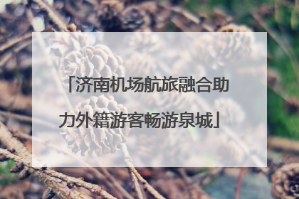 济南机场航旅融合助力外籍游客畅游泉城
