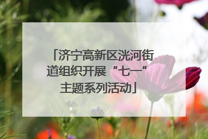 济宁高新区洸河街道组织开展“七一” 主题系列活动