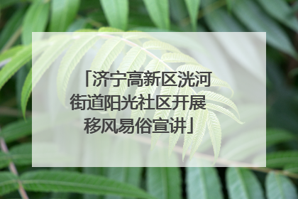 济宁高新区洸河街道阳光社区开展移风易俗宣讲