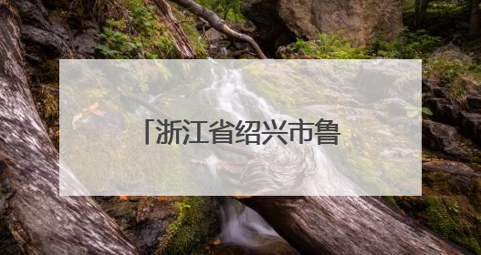 浙江省绍兴市鲁迅小学：学生在“孺子牛志愿服务”中历练成长