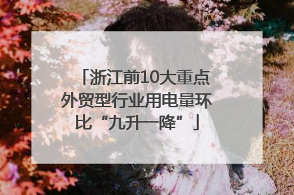 浙江前10大重点外贸型行业用电量环比“九升一降”