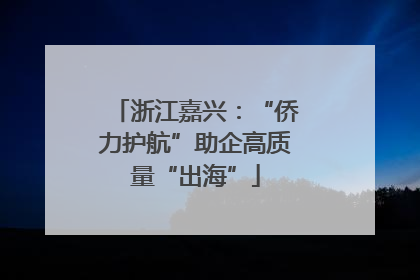 浙江嘉兴：“侨力护航”助企高质量“出海”