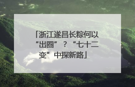 浙江遂昌长粽何以“出圈”？“七十二变”中探新路
