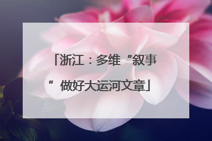 浙江：多维“叙事”做好大运河文章