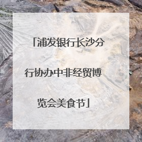 浦发银行长沙分行协办中非经贸博览会美食节
