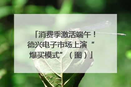 消费季激活端午！德兴电子市场上演“爆买模式”（图）