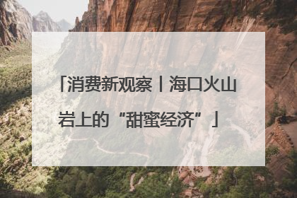 消费新观察丨海口火山岩上的“甜蜜经济”