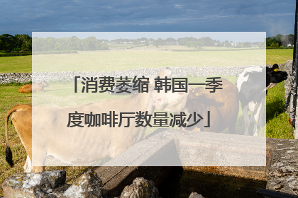 消费萎缩 韩国一季度咖啡厅数量减少