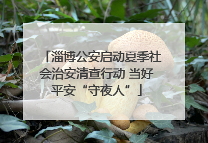 淄博公安启动夏季社会治安清查行动 当好平安“守夜人”