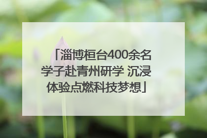 淄博桓台400余名学子赴青州研学 沉浸体验点燃科技梦想