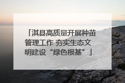 淇县高质量开展种苗管理工作 夯实生态文明建设“绿色根基”