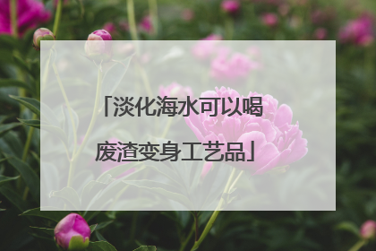 淡化海水可以喝 废渣变身工艺品