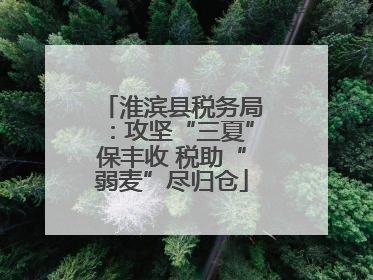 淮滨县税务局：攻坚“三夏”保丰收 税助“弱麦”尽归仓