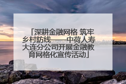 深耕金融网格 筑牢乡村防线——中荷人寿大连分公司开展金融教育网格化宣传活动