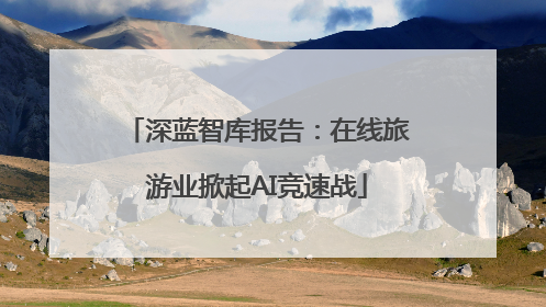 深蓝智库报告：在线旅游业掀起AI竞速战