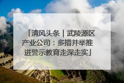 清风头条｜武陵源区产业公司：多措并举推进警示教育走深走实