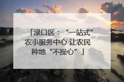 渌口区：“一站式”农事服务中心 让农民种地“不操心”