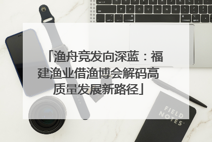 渔舟竞发向深蓝：福建渔业借渔博会解码高质量发展新路径