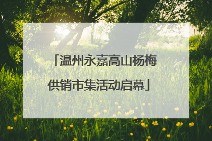 温州永嘉高山杨梅供销市集活动启幕