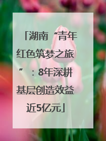 湖南“青年红色筑梦之旅”：8年深耕基层创造效益近5亿元