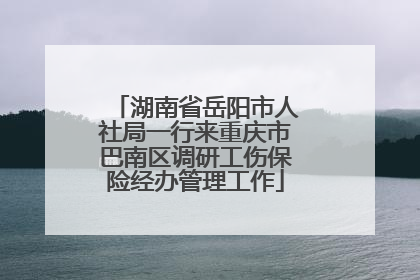湖南省岳阳市人社局一行来重庆市巴南区调研工伤保险经办管理工作