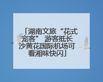 湖南文旅“花式宠客” 游客抵长沙黄花国际机场可看湘味快闪