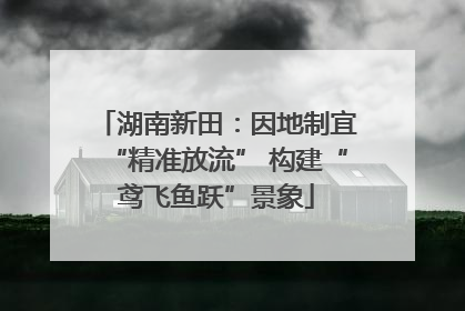 湖南新田：因地制宜“精准放流” 构建“鸢飞鱼跃”景象