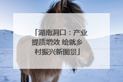 湖南洞口：产业提质增效 绘就乡村振兴新图景