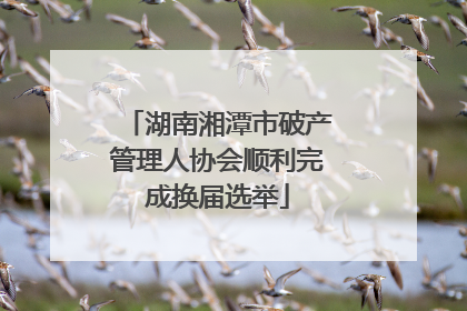 湖南湘潭市破产管理人协会顺利完成换届选举